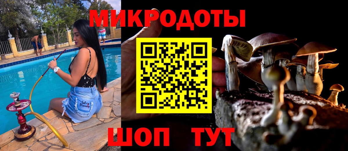 Волжск  Псилоцибиновые грибы мухоморы  Вход с VPN 