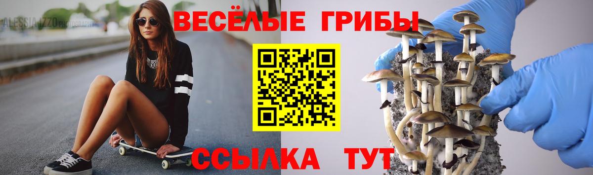 Галлюциногенные грибы прущие грибы Волжск